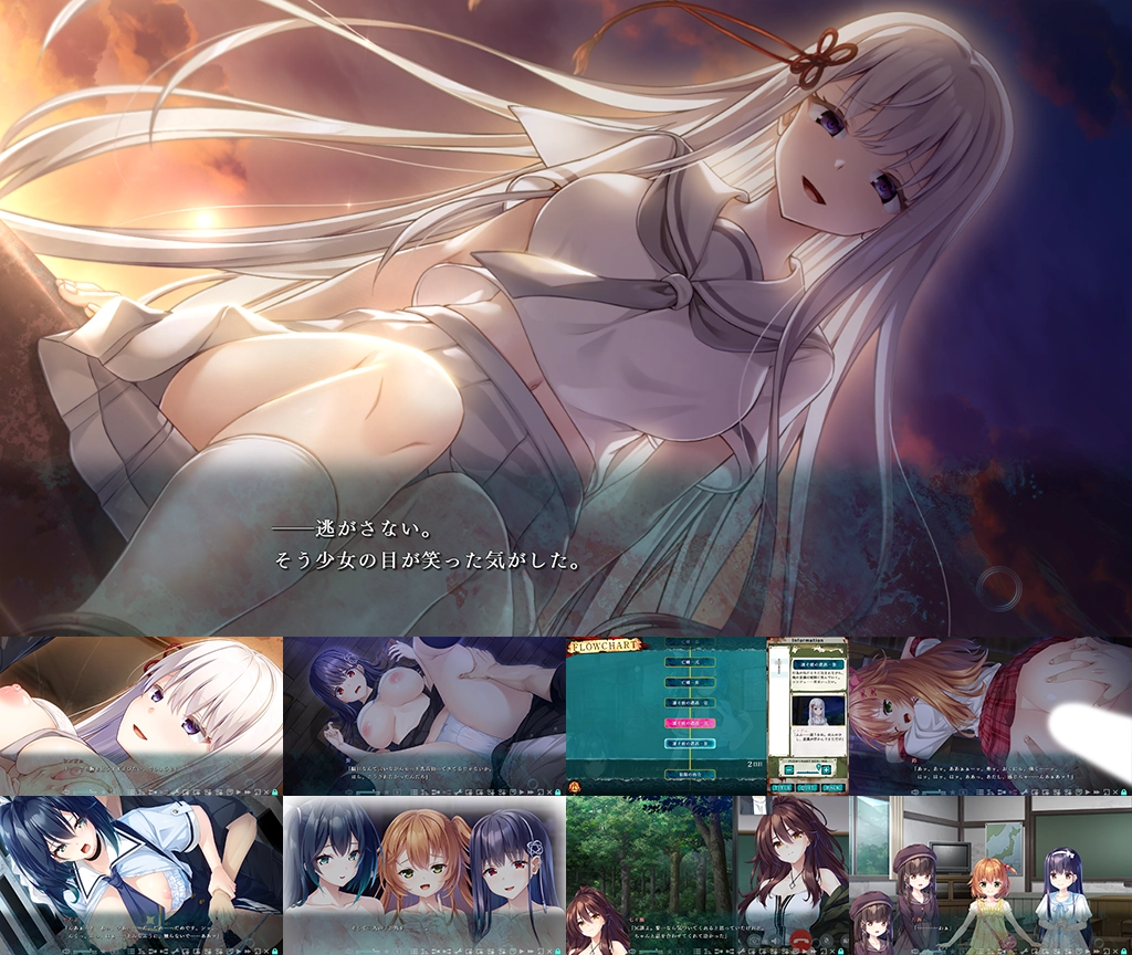 体験版